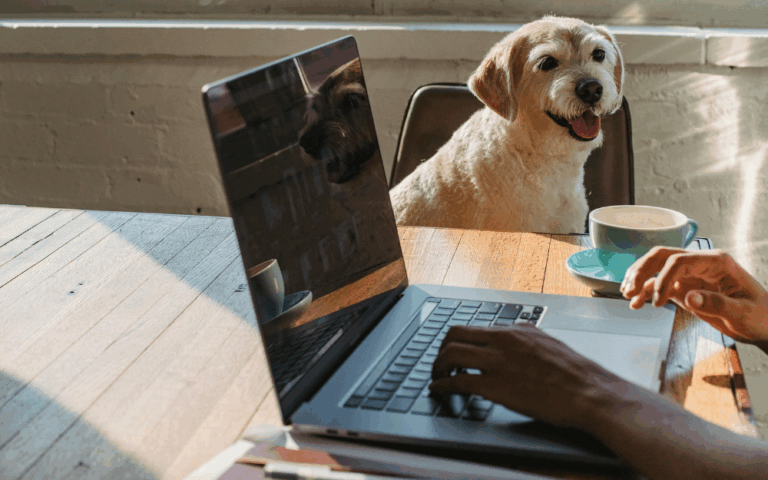 How to get a good credit score
